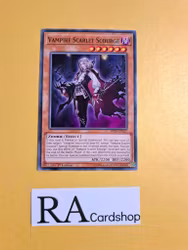 Vampire Scarlet Scourge Common MP19-EN237 1st Edition Gold Sarcophagus Tin Mega Pack 2019 MP19 Yu-Gi-Oh