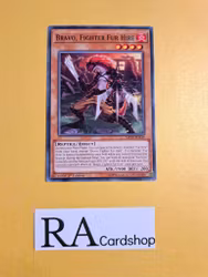 Bravo Fighter Fur Hire Common MP19-EN249 1st Edition Gold Sarcophagus Tin Mega Pack 2019 MP19 Yu-Gi-Oh