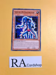 Gouki Octostretch Common MP19-EN006 1st Edition Gold Sarcophagus Tin Mega Pack 2019 MP19 Yu-Gi-Oh