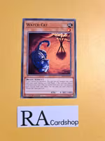 Watch Cat Common MP19-EN013 1st Edition Gold Sarcophagus Tin Mega Pack 2019 MP19 Yu-Gi-Oh