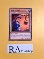 Watch Cat Common MP19-EN013 1st Edition Gold Sarcophagus Tin Mega Pack 2019 MP19 Yu-Gi-Oh