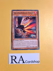 Salamangreat Falco Common MP19-EN155 1st Edition Gold Sarcophagus Tin Mega Pack 2019 MP19 Yu-Gi-Oh