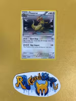 Haxorus Holo Rare 88/108 Dark Explorers Pokemon