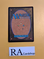 Deceive the Messenger Common Foil 047 The Lord of the Rings Tales of Middle-earth Magic the Gathering