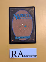 In the Presence of Ages Common Foil 192 The Lost Caverns of Ixalan LCI Magic the Gathering