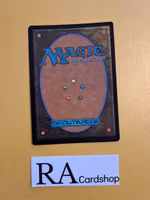 Family Reunion Common Foil 013 The Lost Caverns of Ixalan LCI Magic the Gathering