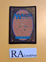 Swamp Land Foil 398 The Lost Caverns of Ixalan LCI Magic the Gathering