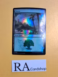 Forest Land Foil 402 The Lost Caverns of Ixalan LCI Magic the Gathering