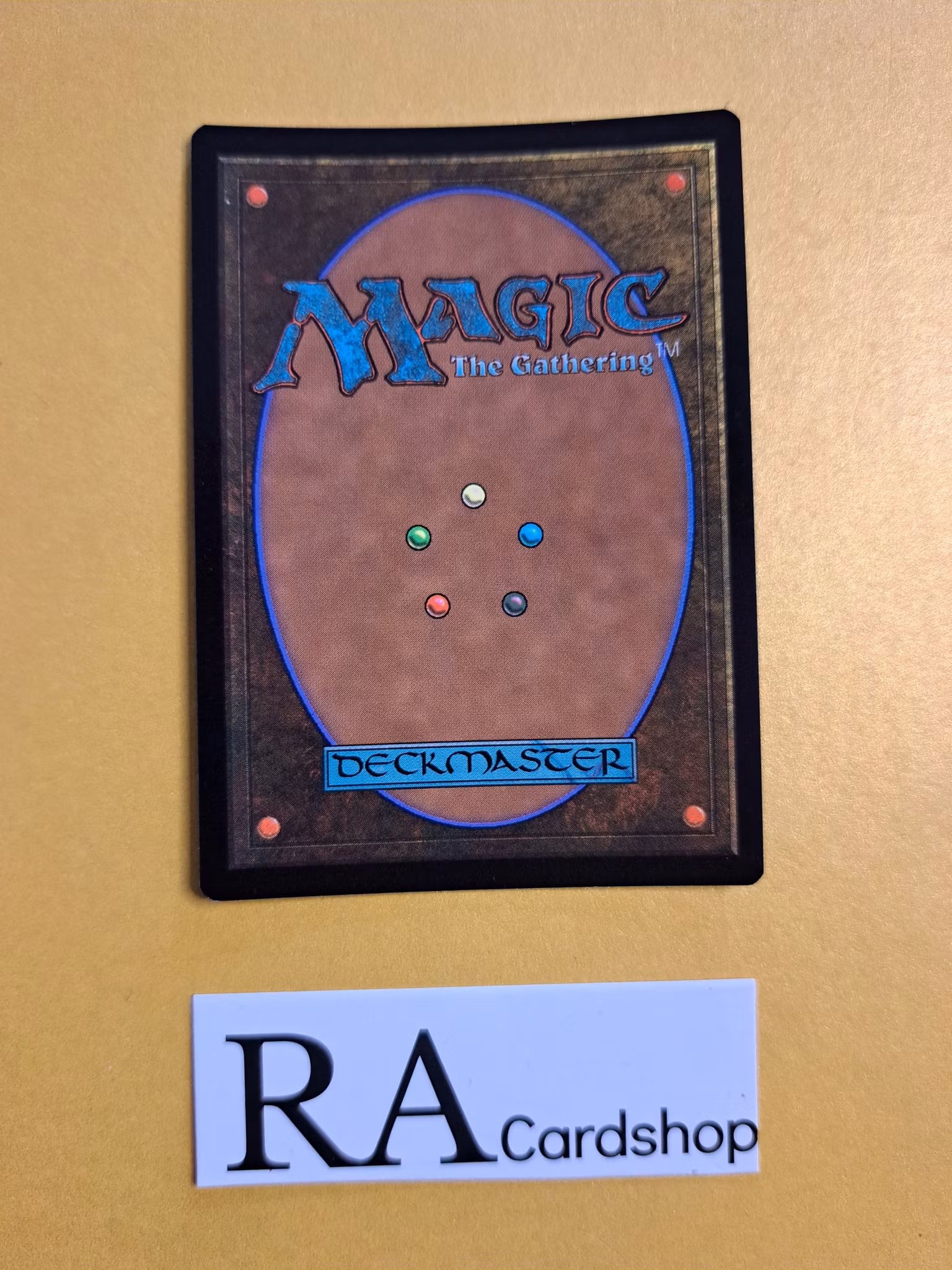 Forest Land Foil 402 The Lost Caverns of Ixalan LCI Magic the Gathering