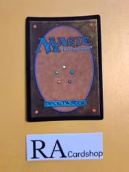 Forest Land Foil 402 The Lost Caverns of Ixalan LCI Magic the Gathering