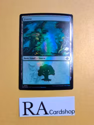 Forest Land Foil 401 The Lost Caverns of Ixalan LCI Magic the Gathering