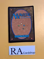 Forest Land Foil 401 The Lost Caverns of Ixalan LCI Magic the Gathering