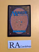 Island Land Foil 396 The Lost Caverns of Ixalan LCI Magic the Gathering