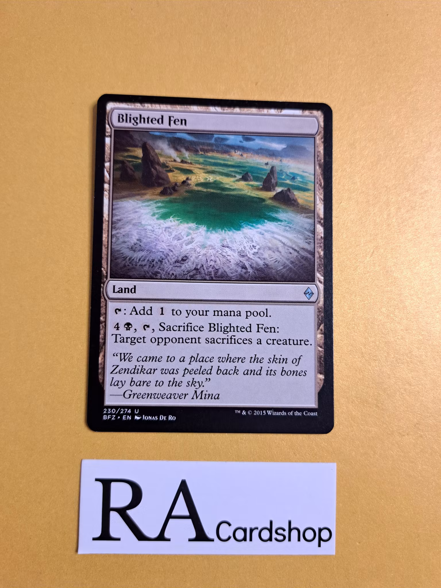 Blighted Fen Uncommon 230/274 Battle for Zendikar (BFZ) Magic the Gathering