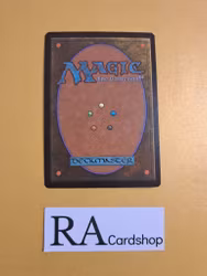 Aven of Enduring Hope Common 005/199 Hour of Devesation (HOU) Magic the Gathering