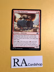 Irascible Wolverine Common 0130 Outlaws of Thunder Junction (OTJ) Magic the Gathering