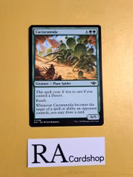 Cactarantula Common 0158 Outlaws of Thunder Junction (OTJ) Magic the Gathering