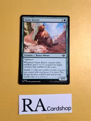 Giant Beaver Common 0165 Outlaws of Thunder Junction (OTJ) Magic the Gathering