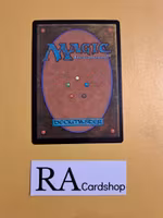 Embereth Paladin Common 121/268 Throne of Eldraine (ELD) Magic the Gathering