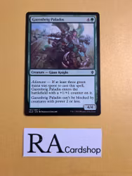 Garenbrig Paladin Common 157/268 Throne of Eldraine (ELD) Magic the Gathering