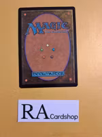 Garenbrig Paladin Common 157/268 Throne of Eldraine (ELD) Magic the Gathering