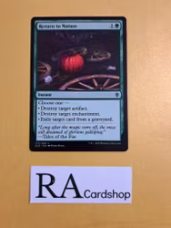Return to Nature Common 173/268 Throne of Eldraine (ELD) Magic the Gathering