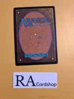 Rosethorn Halberd Common 175/268 Throne of Eldraine (ELD) Magic the Gathering