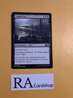 Caustic Tar Uncommon 089/269 Magic 2015 (M15) Magic the Gathering