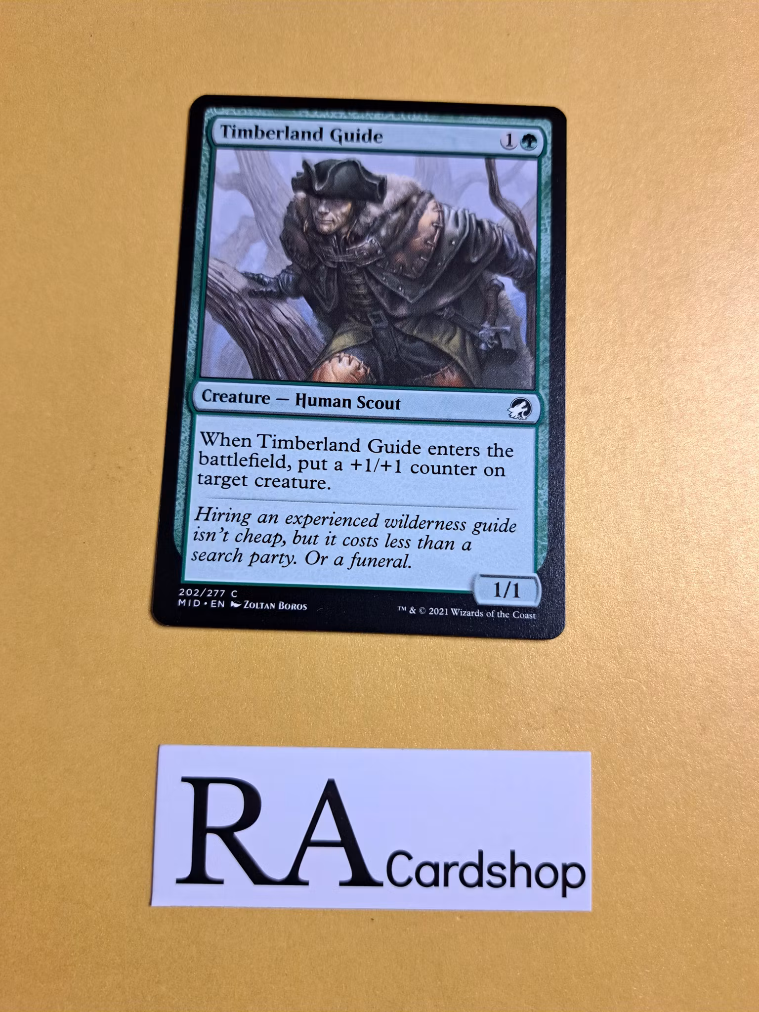 Timberland Guide Common 202/277 Innistrad Midnight Hunt (MID) Magic the Gathering