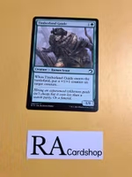 Timberland Guide Common 202/277 Innistrad Midnight Hunt (MID) Magic the Gathering