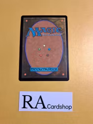 Timberland Guide Common 202/277 Innistrad Midnight Hunt (MID) Magic the Gathering