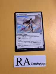 Shalais Acolyte Uncommon 033/281 Dominaria United (DMU) Magic the Gathering