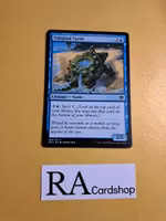 Ridepool Turtle Common 069/281 Dominaria United (DMU) Magic the Gathering