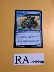 Ridepool Turtle Common 069/281 Dominaria United (DMU) Magic the Gathering