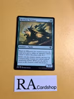Hexbane Tortoise Common 166/281 Dominaria United (DMU) Magic the Gathering