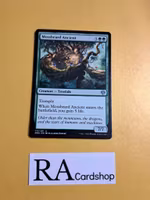 Mossbeard Ancient Uncommon 173/281 Dominaria United (DMU) Magic the Gathering