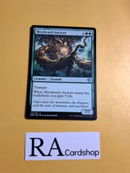Mossbeard Ancient Uncommon 173/281 Dominaria United (DMU) Magic the Gathering