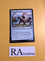 Shield-Wall Sentinel Common 238/281 Dominaria United (DMU) Magic the Gathering
