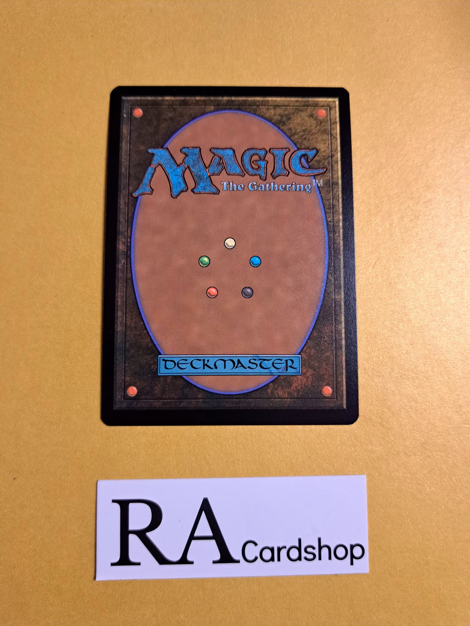 Shield-Wall Sentinel Common 238/281 Dominaria United (DMU) Magic the Gathering