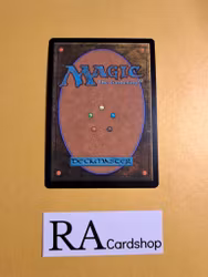 Shield-Wall Sentinel Common 238/281 Dominaria United (DMU) Magic the Gathering