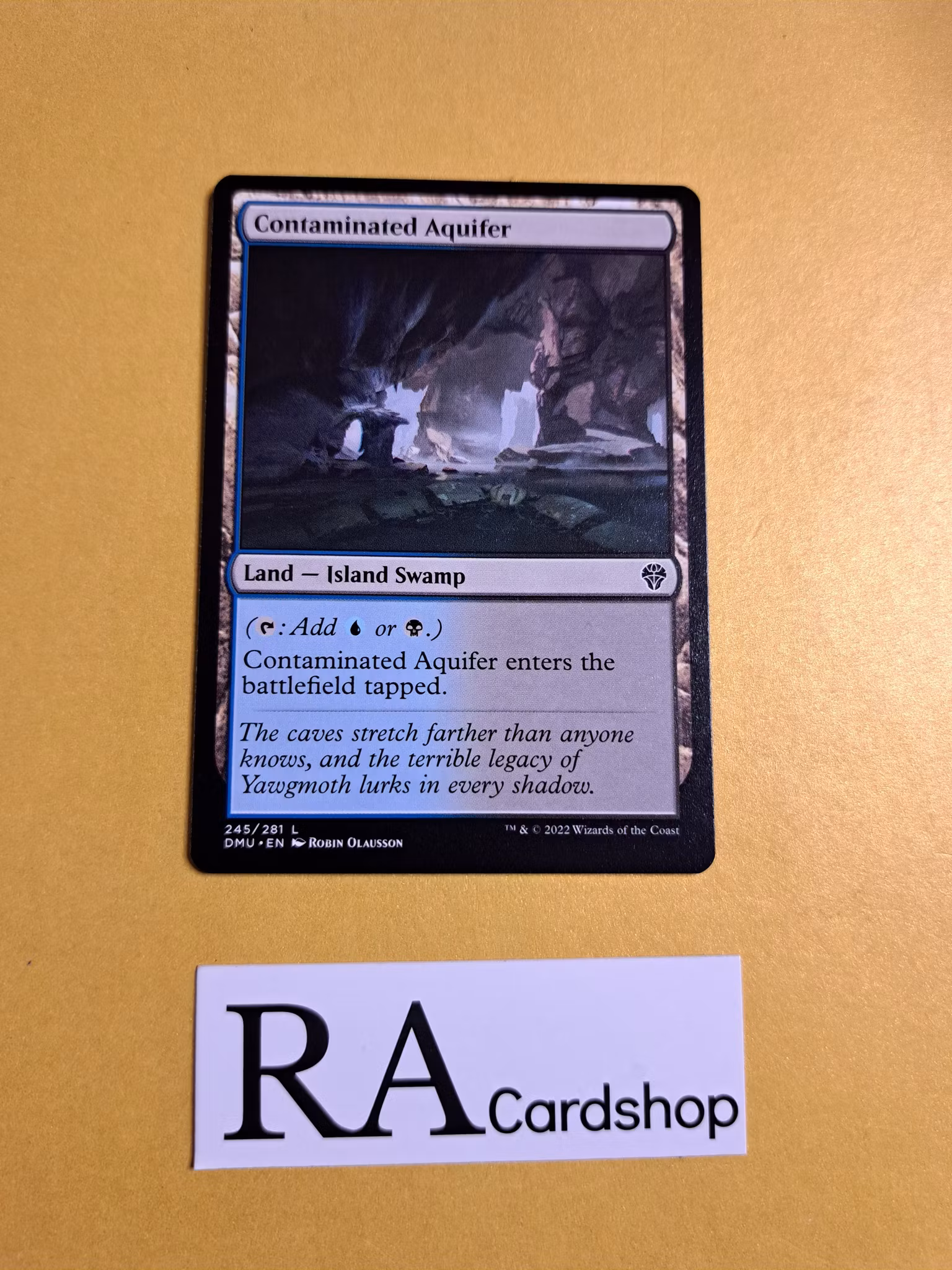 Contaminated Aquifer Common 245/281 Dominaria United (DMU) Magic the Gathering