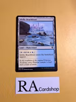 Idyllic Beachfront Common 249/281 Dominaria United (DMU) Magic the Gathering