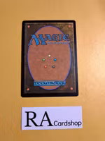 Idyllic Beachfront Common 249/281 Dominaria United (DMU) Magic the Gathering