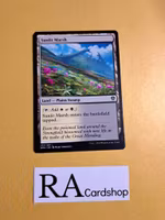 Sunlit Marsh Common 257/281 Dominaria United (DMU) Magic the Gathering