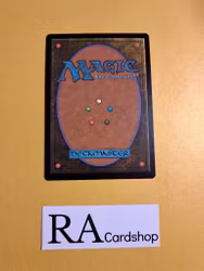 Sunlit Marsh Common 257/281 Dominaria United (DMU) Magic the Gathering