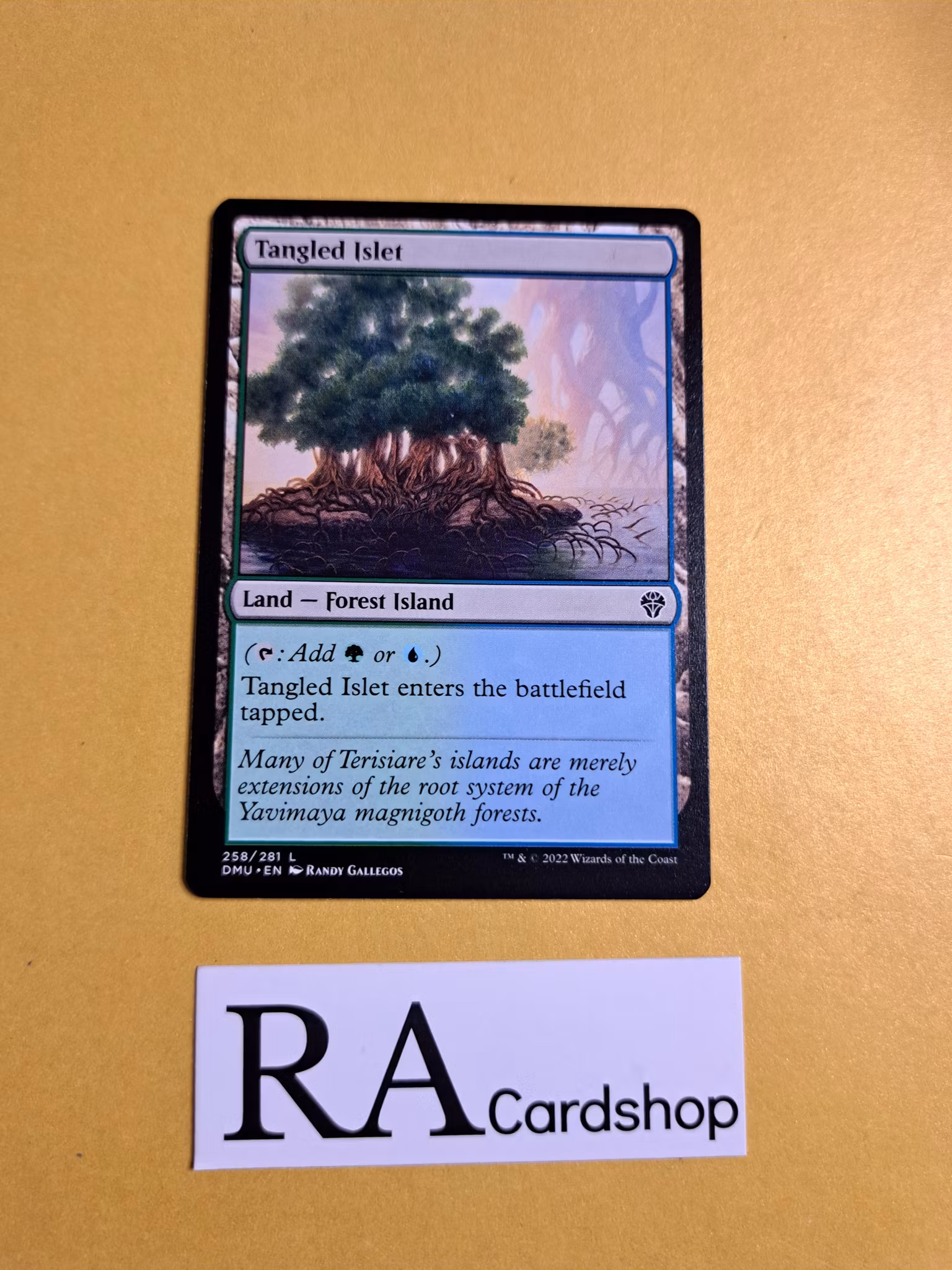 Tangled Islet Common 258/281 Dominaria United (DMU) Magic the Gathering