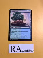 Tangled Islet Common 258/281 Dominaria United (DMU) Magic the Gathering