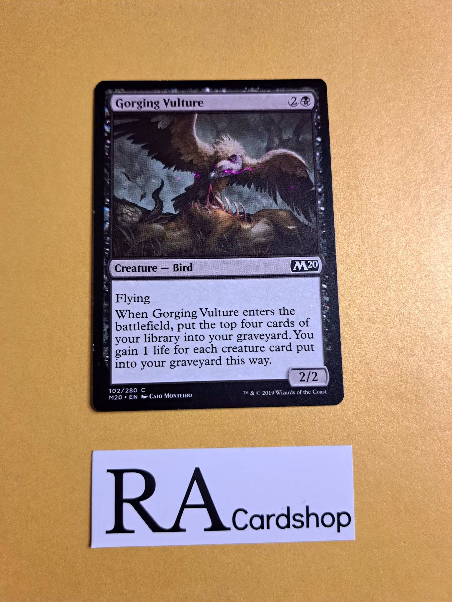 Gorging Vulture Common 102/280 Core 2020 (M20) Magic the Gathering