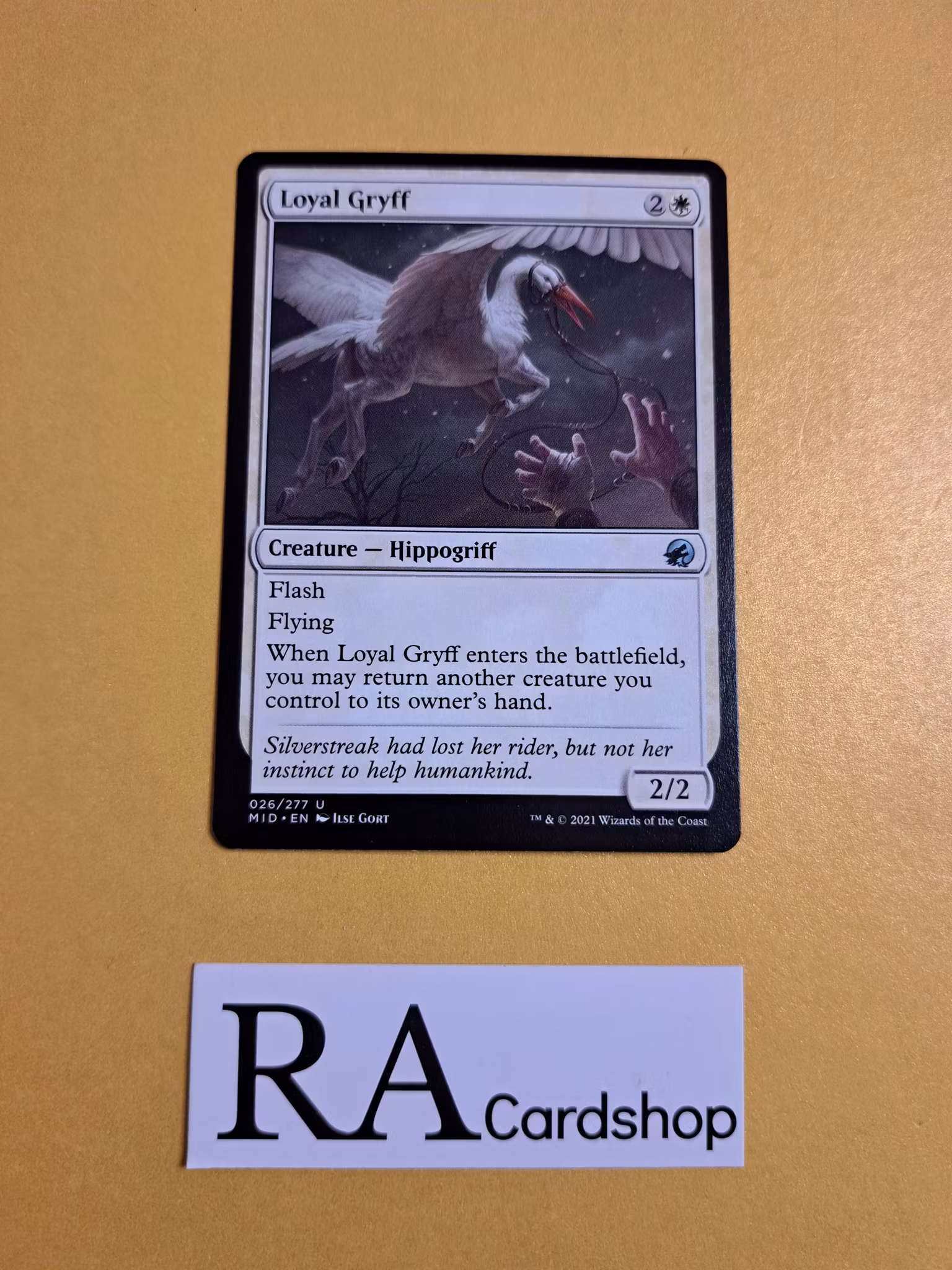 Loyal Gryff Uncommon 026/277 Innistrad Midnight Hunt (MID) Magic the Gathering