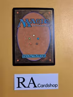 Wandering Tombshell Common 127/264 Dragons of Tarkir (DTK) Magic the Gathering